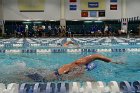 Swimming vs CGA  Wheaton College Swimming & Diving vs Coast Guard Academy. - Photo By: KEITH NORDSTROM : Wheaton, Swimming, diving